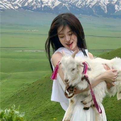 玩叛游戏 海报